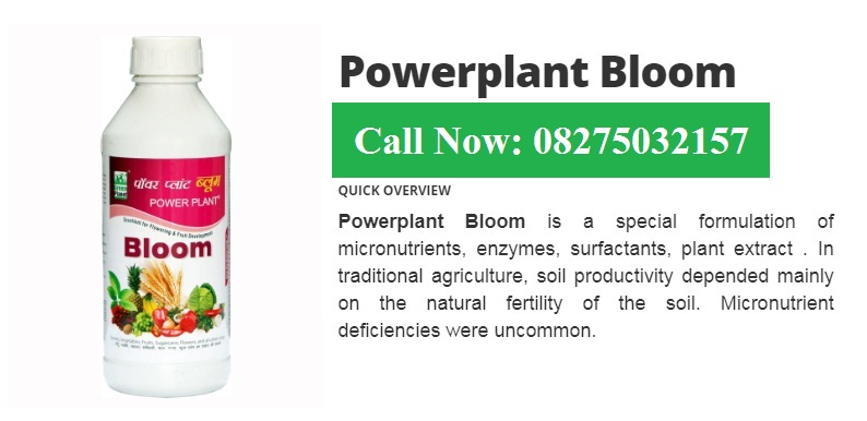 Green Planet Bio Products Ahmednagar Mobile  shop Ahmednagar